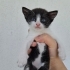 Acil yuva arıyorum fotoğraf