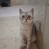 Sokağa kaçmış bir anne fotoğraf