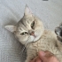 Sokaga atılmış , tek istediği sevgi.. fotoğraf