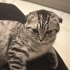 Güzeller güzeli kızımız fotoğraf