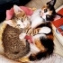 YUMUŞACIK, SEVGİ YUMAĞI BEBEĞİMİZ İÇİN AİLE OLUR MUSUNUZ? fotoğraf