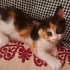 YUMUŞACIK, SEVGİ YUMAĞI BEBEĞİMİZ İÇİN AİLE OLUR MUSUNUZ? fotoğraf
