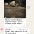 Sokaktan kurtardığımız nur topu 3 aylık erkek yavru 🐾 fotoğraf