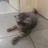 Cok acil yuva ariyoruz fotoğraf