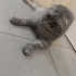 Cok acil yuva ariyoruz fotoğraf