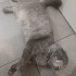 Cok acil yuva ariyoruz fotoğraf