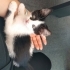 Bu tatlı kıza acil yuva fotoğraf