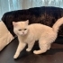 Omurluk yuva ariyoruz fotoğraf