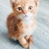 DİKKAT, FOTOĞRAFA 3 SN DEN FAZLA BAKARSANIZ AŞIK OLABİLİRSİNİZ :) fotoğraf