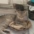 Ailem olur musun fotoğraf