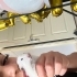 Çok uysal çok tatlı bir erkek fotoğraf