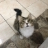 Askeriyede baktığımız miniğe yuva arıyoruz fotoğraf