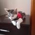 KENDİSİ TAM BİR OYUNCU fotoğraf