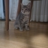 Uslu kızımıza ömürlük yuva olurmusunuz fotoğraf