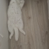 Oğlumuza yuva arıyoruz fotoğraf