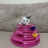 Mini Mini Bir Kızçe fotoğraf