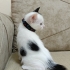 Mini Mini Bir Kızçe fotoğraf
