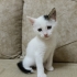 Mini Mini Bir Kızçe fotoğraf