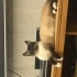 Tatlı Siyam kedi fotoğraf