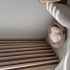 Behlül’e Ömürlük Yuva Aranıyor – Exotic Shorthair fotoğraf