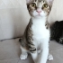 Can ile canan yuva arıyor fotoğraf