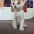 Kucak seven çok sevgi dolu bir cocuk fotoğraf
