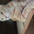 ÇÖP GİBİ SOKAĞA ATILDI fotoğraf