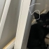 anneleri oldu cok kucukler acil yuva fotoğraf