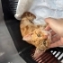 Sokakta dayak yiyor, sağlıklı bebişe yuva fotoğraf