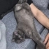 Ömürlük yuva arıyorum fotoğraf