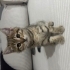 British shorthair kırması olan bebeklere sevgi dolu yeni yuvalarını arıyoruz fotoğraf