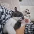 Bıcır bıcır zeka küpü bir velet 🥰 fotoğraf