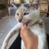 3 aylık bebeğe ömürlük kalıcı yuva fotoğraf