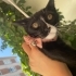 Kanalizasyondan kurtarılan sağlıklı bebeğe yuva arıyoruz fotoğraf