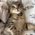 Ömürlük yuva arıyoruz fotoğraf