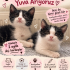 GÖRME ENGELLİ CANLARA YUVA ARIYORUZ fotoğraf