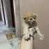 büyükçekmecenin gözdeleri fotoğraf