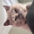 Akıllı uslu kızımıza yuva arıyoruz… fotoğraf