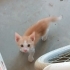 Delikanlılara yuva🧿 fotoğraf