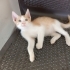 Delikanlılara yuva🧿 fotoğraf