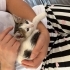 Minnak kız Sakız ömürlük yuvasını arıyorr fotoğraf
