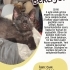 CIVIK YUVA ARIYOR fotoğraf