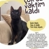 RAFADAN YUVA ARIYOR fotoğraf