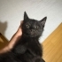 RAFADAN YUVA ARIYOR fotoğraf