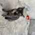 Bal gibi tatlı bi bebiş fotoğraf