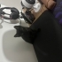Eşyaları ile birlikte ücretsiz iki kardeş British Shorthair yavru fotoğraf
