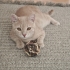 KIYMETLİME MECBURİ YUVA ARIYORUM fotoğraf