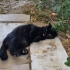 Şirin kıza yuva fotoğraf