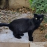 Şirin kıza yuva fotoğraf
