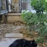 Şirin kıza yuva fotoğraf